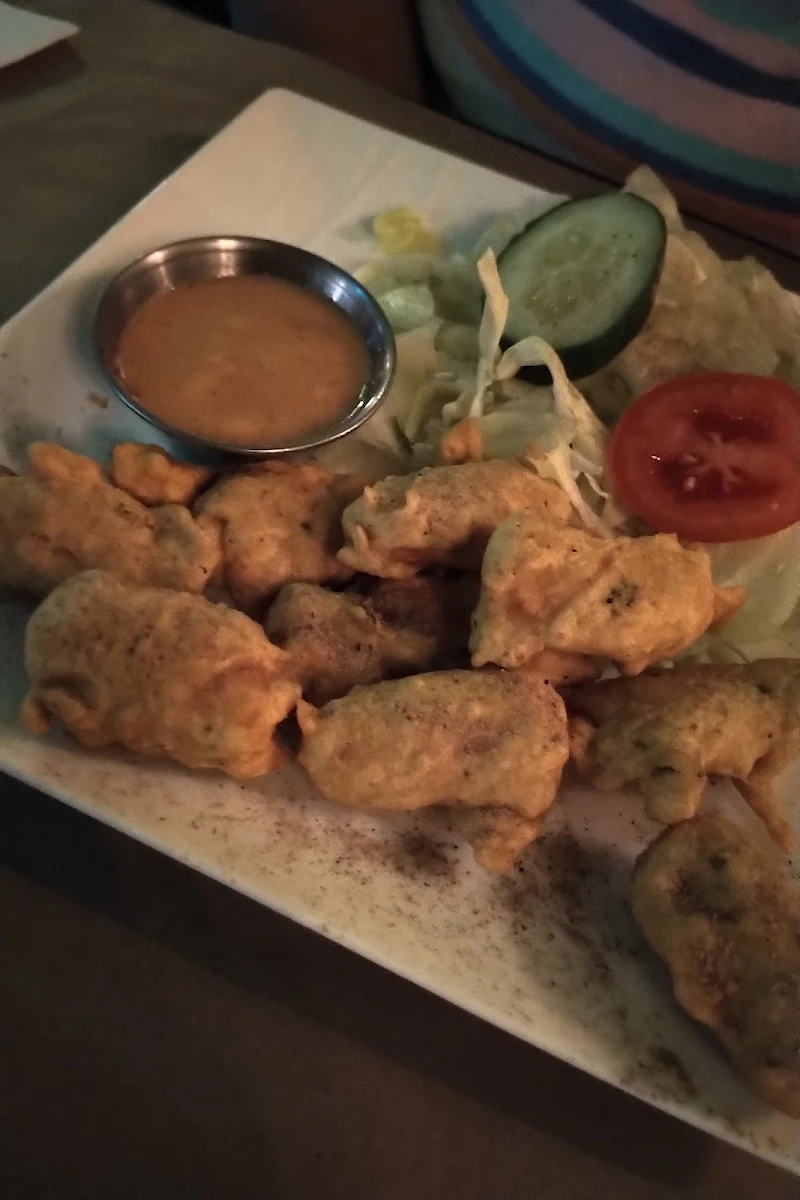 Paneer Pakora