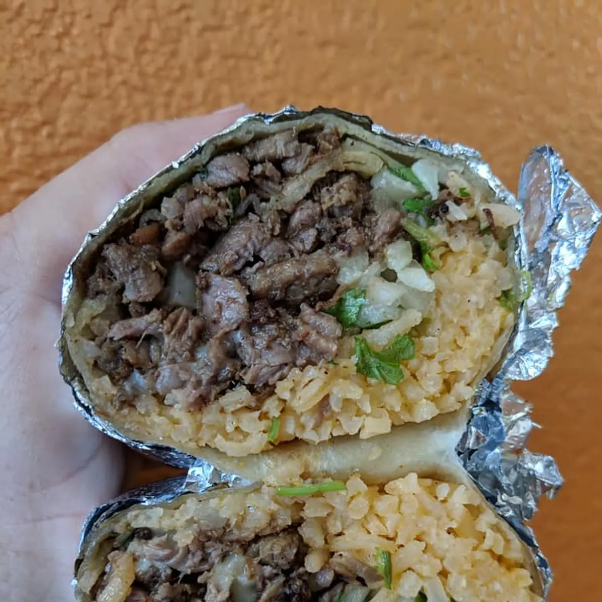 Carne Asada Burrito