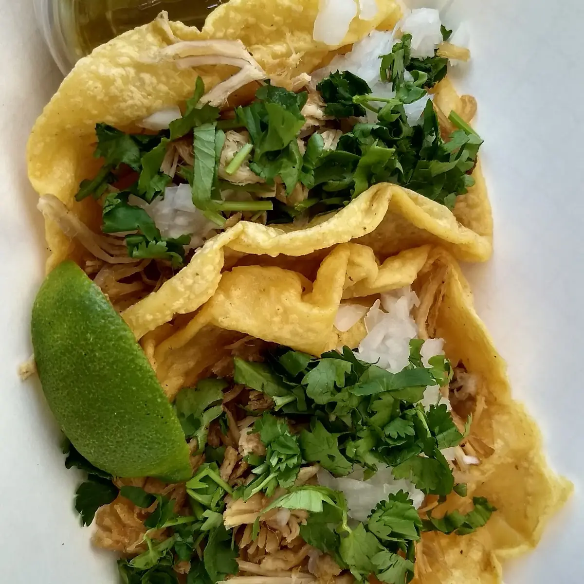 Carnitas Tacos