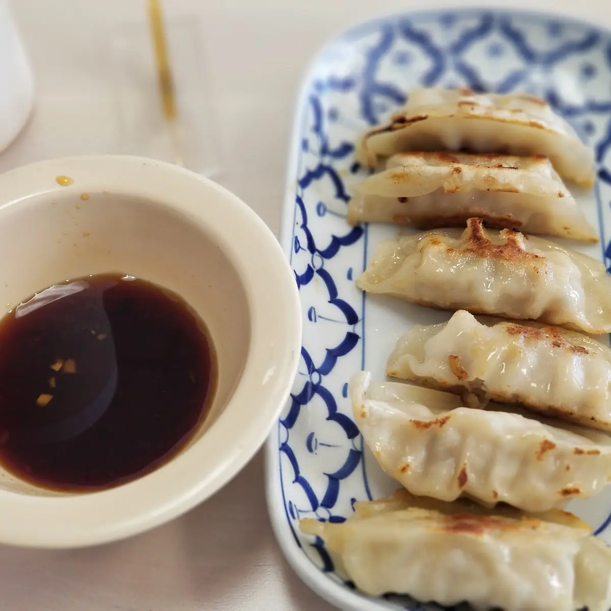 Gyoza Fried Dumpling