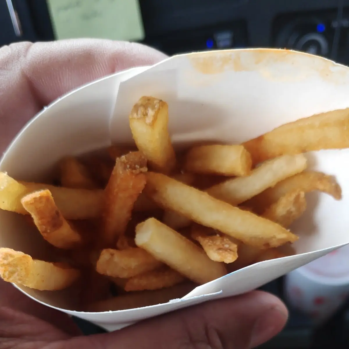 French Fries