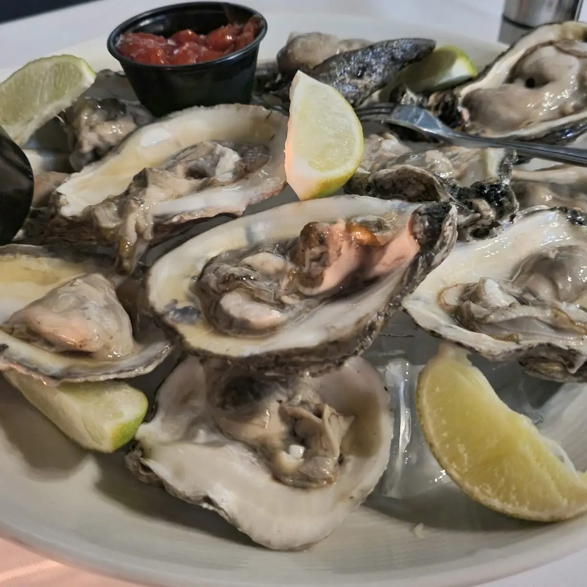 Oysters on the Half Shell