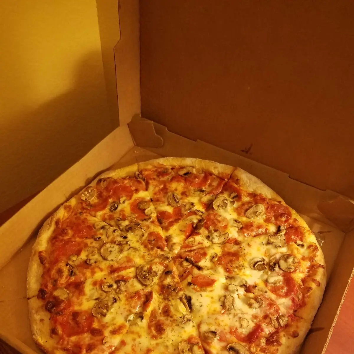 Mushroom Pizza