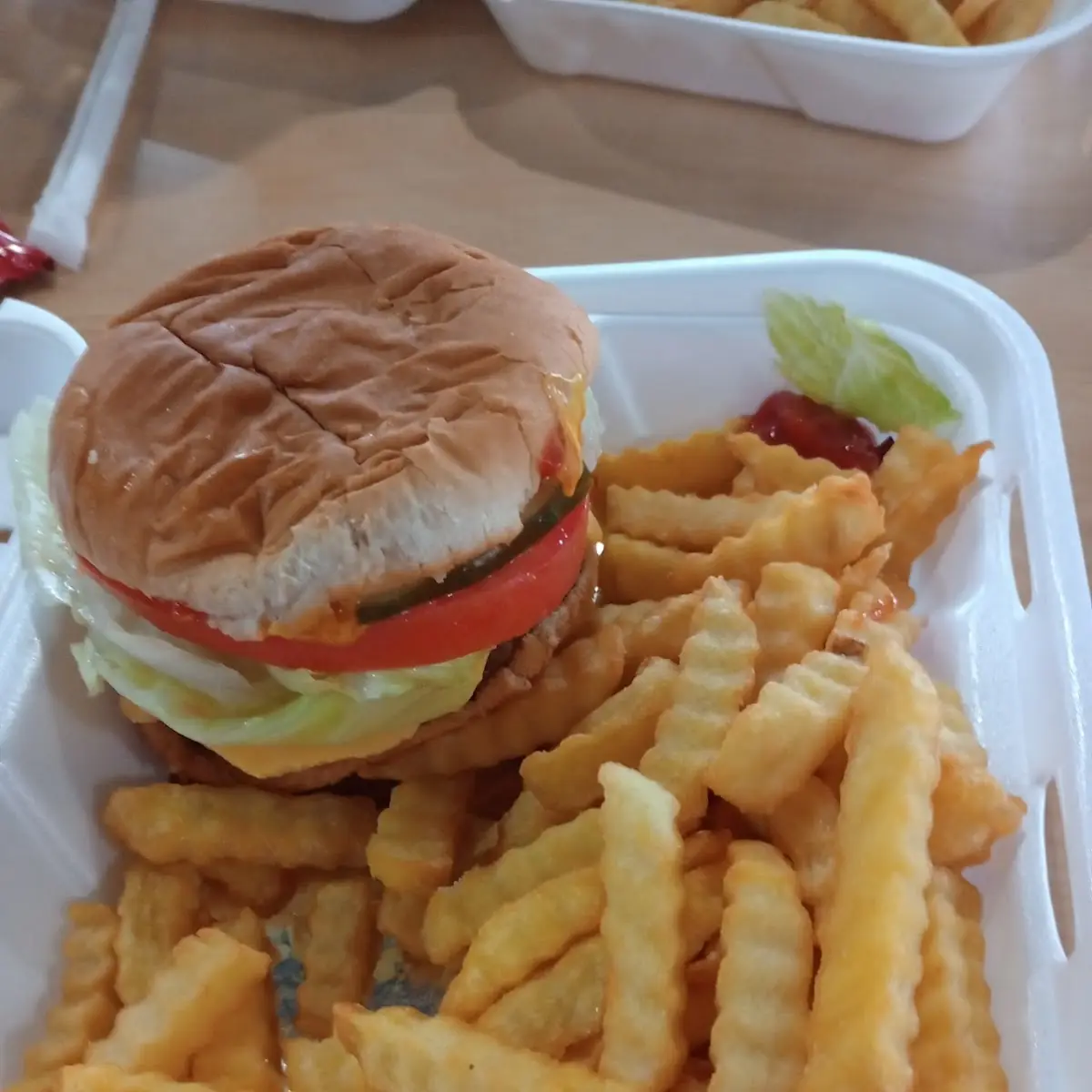 Cheese Burger and Fries