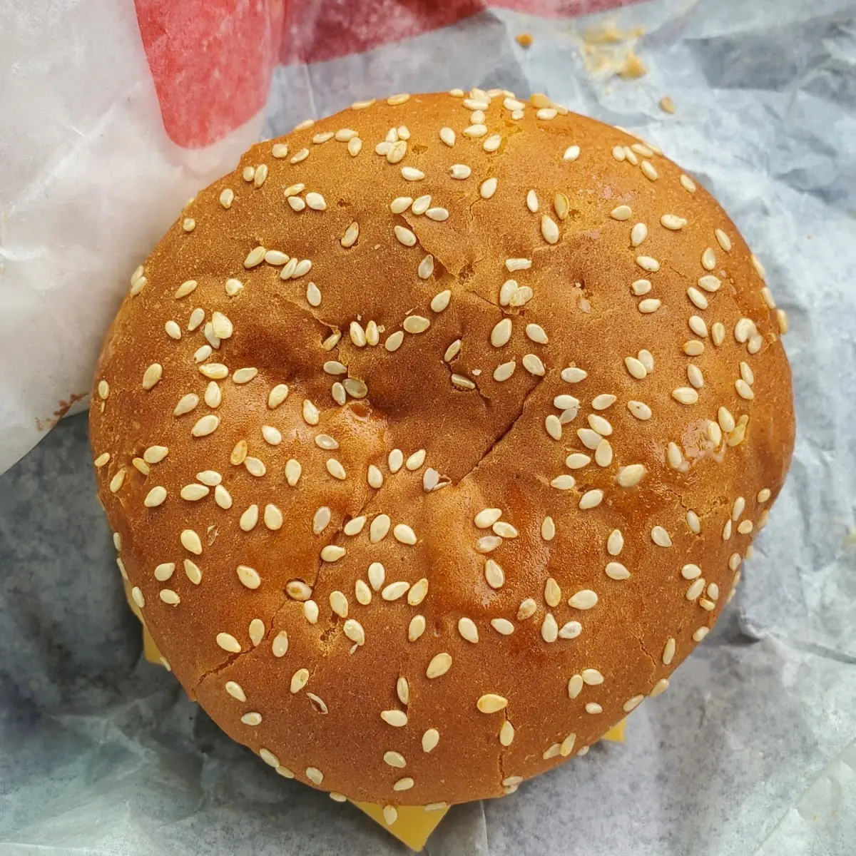 Sesame Seed Bun