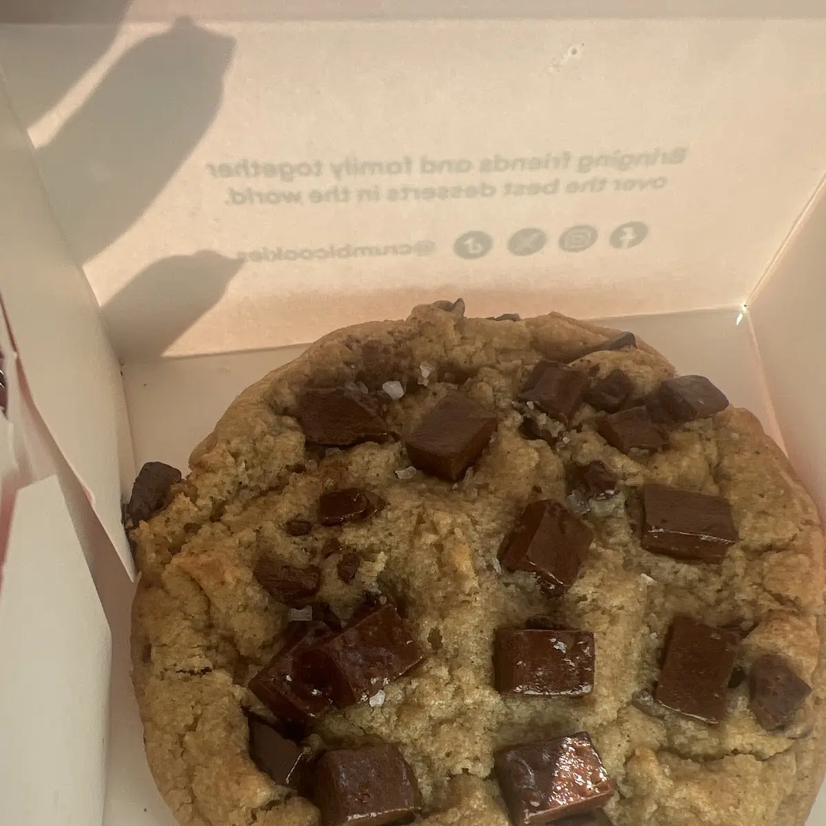 Chocolate Chip Cookie