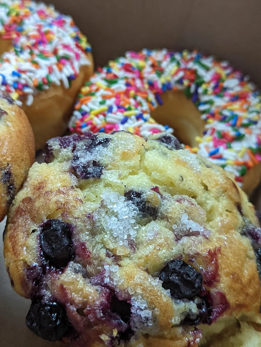 Blueberry Muffin