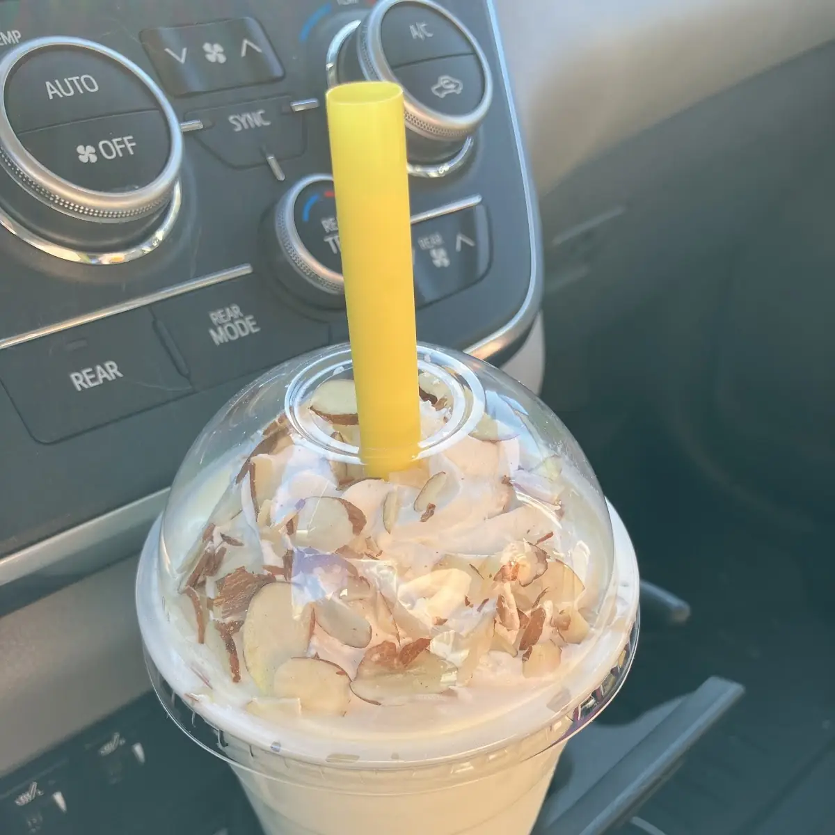Piña Colada Shake