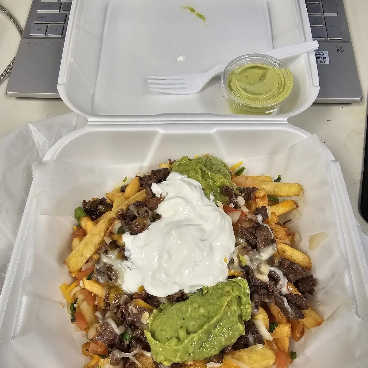 Carne Asada Fries