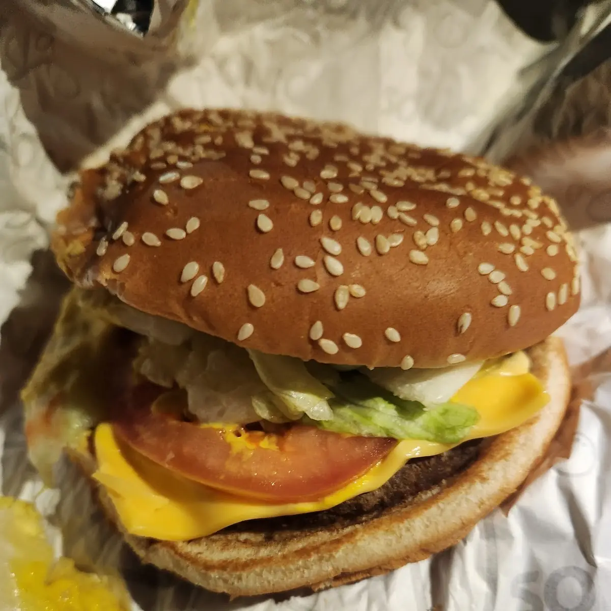 Plain Sonic Cheeseburger Combo
