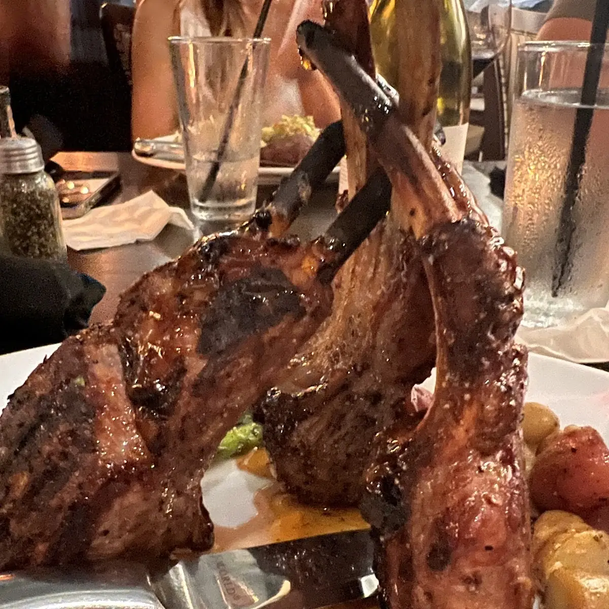 Lamb Chops Amazingnous