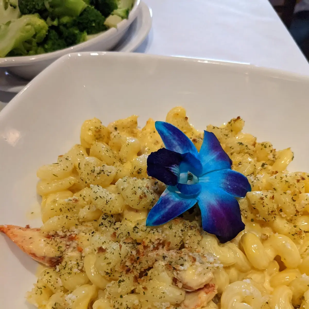 Lobster Mac & Cheese