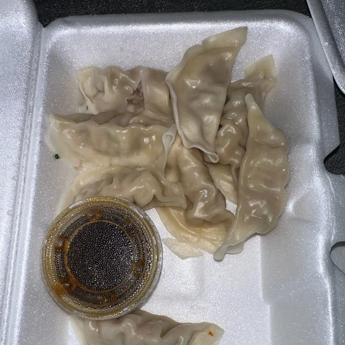 Fried or Steamed Dumplings 6