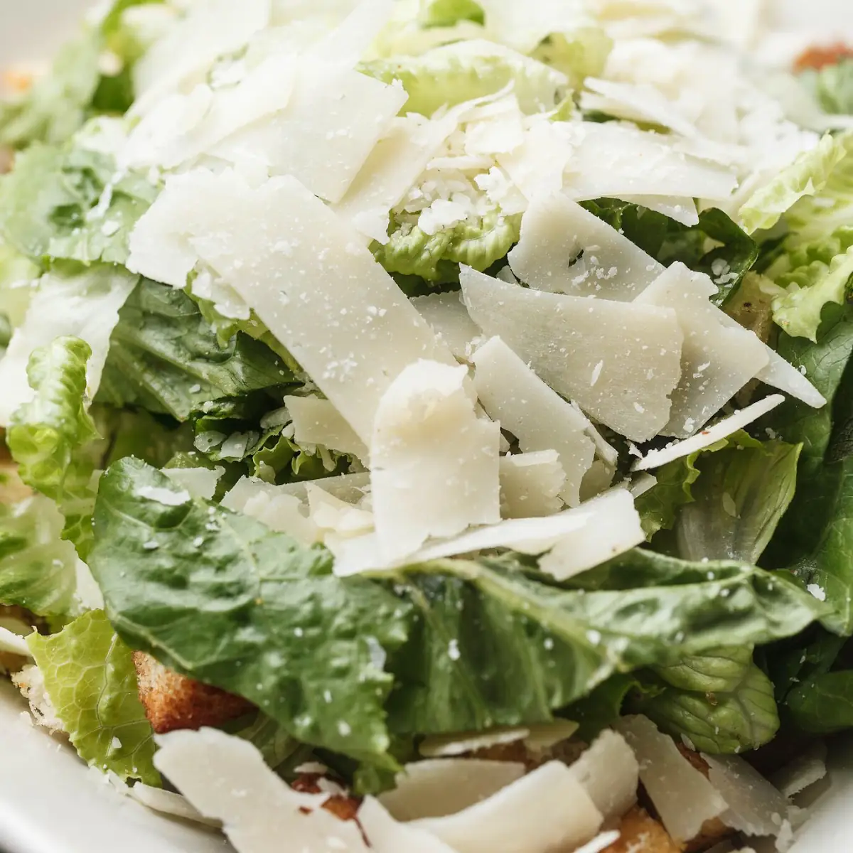 Grilled Chicken Caesar Salad