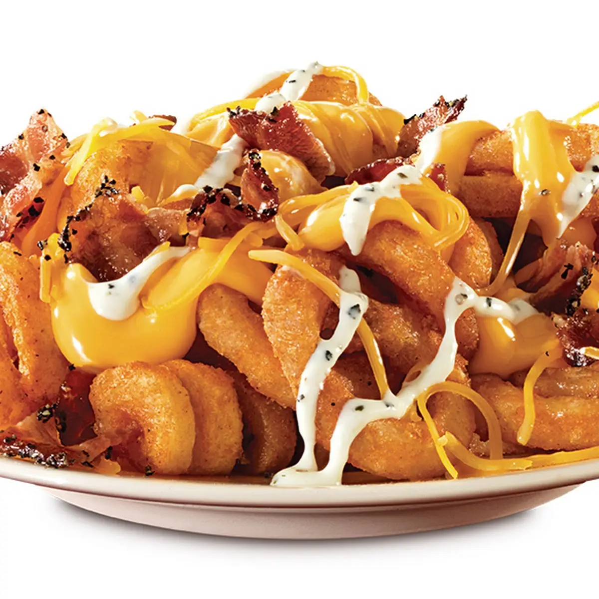 Loaded Fries