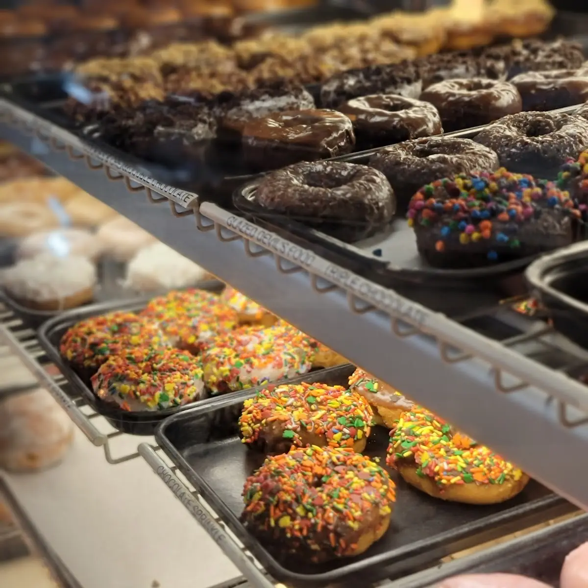 Dozen Chocolate Cake Donuts