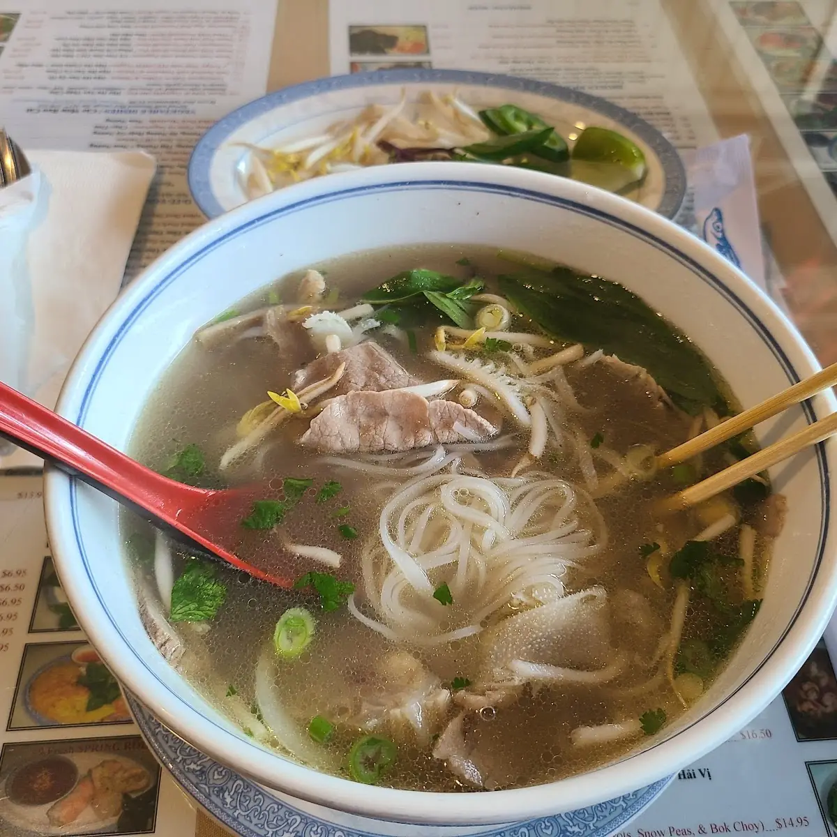 Beef Noodle Soup with Cilantro