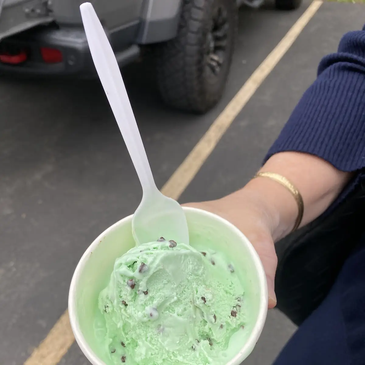 Mint Chocolate Chip Ice Cream