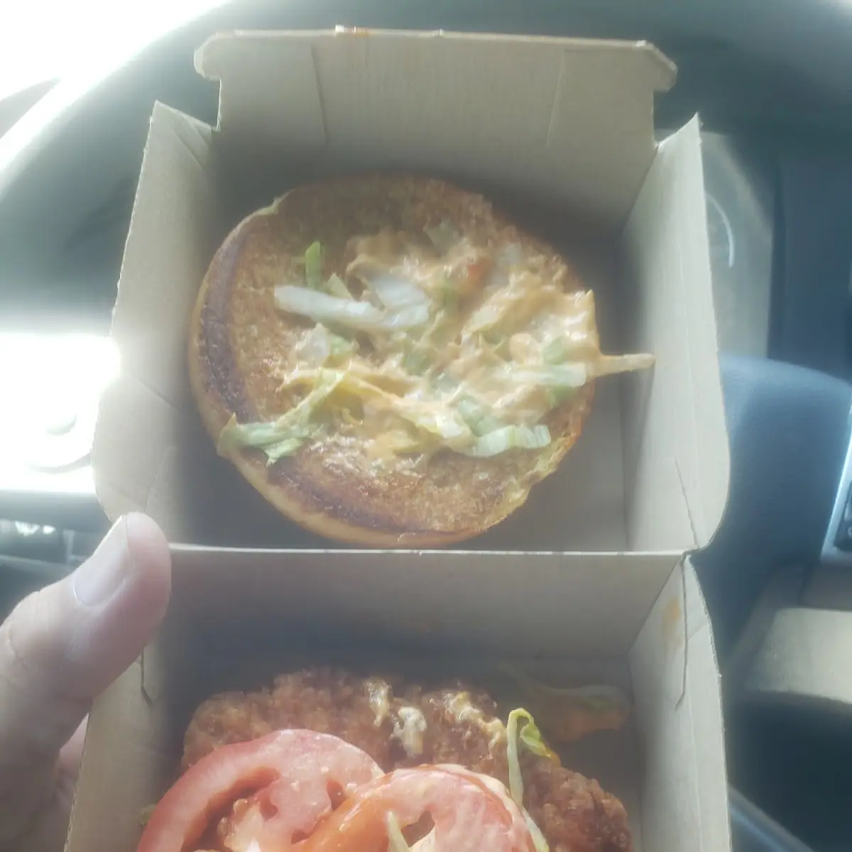 Delixe Spicy Chicken Sandwich