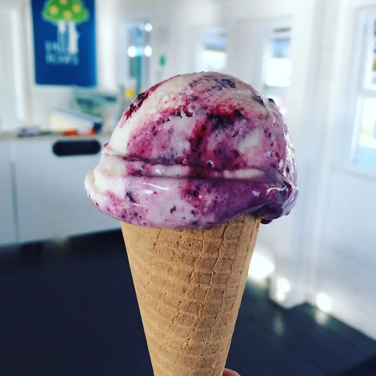Highlights, Tall Tom's Lemonade & Ice Cream