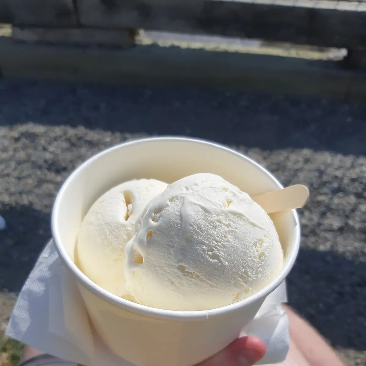 Vanilla Ice Cream, Tall Tom's Lemonade & Ice Cream