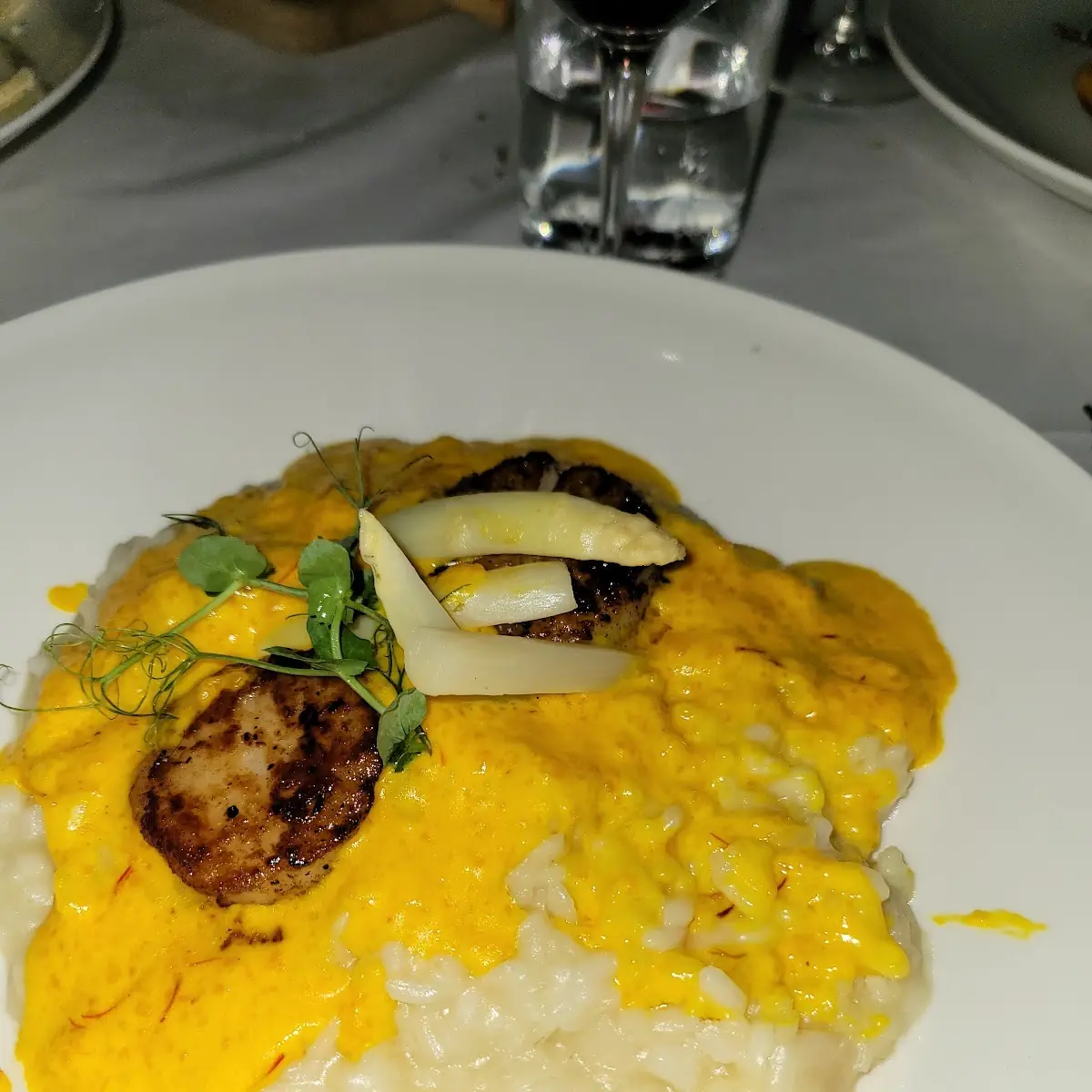 Pan Seared Scallops over Mushroom Risotto