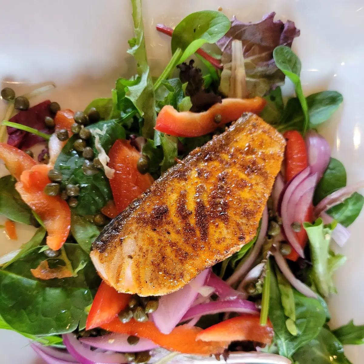 Salmon Salad