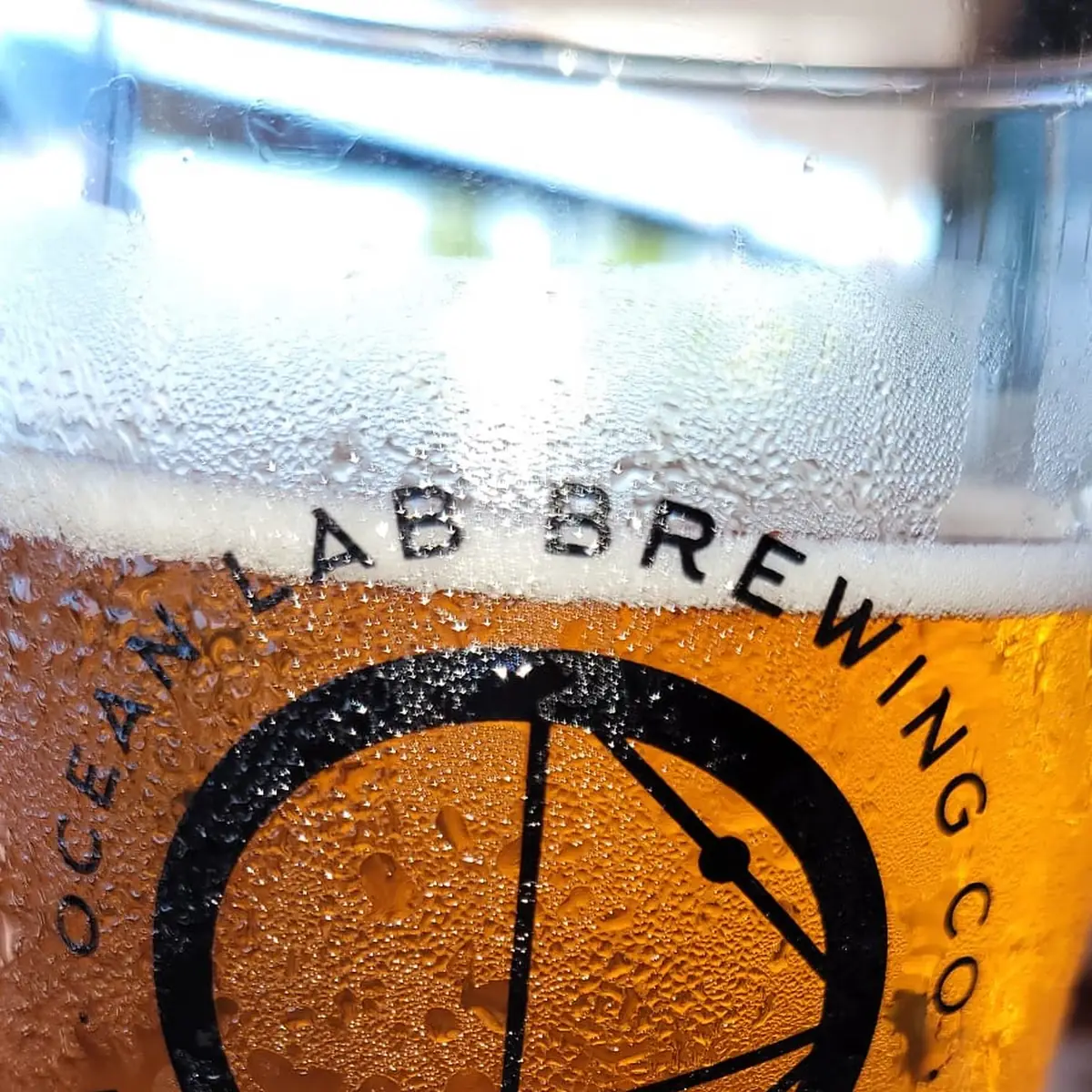 Draft Beer