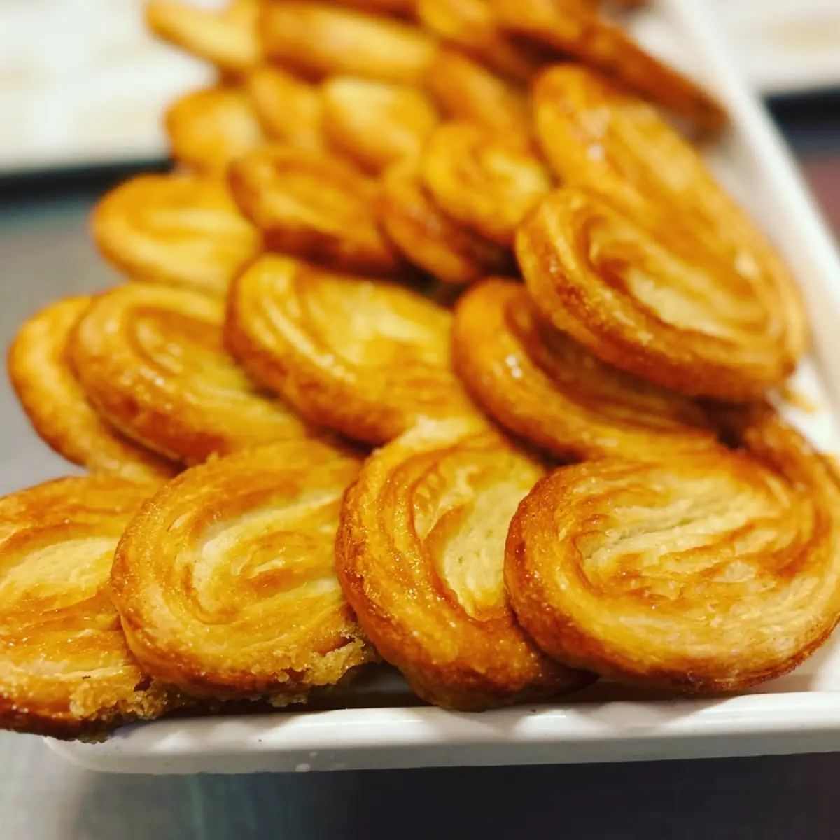 Palmier Elephant Ears