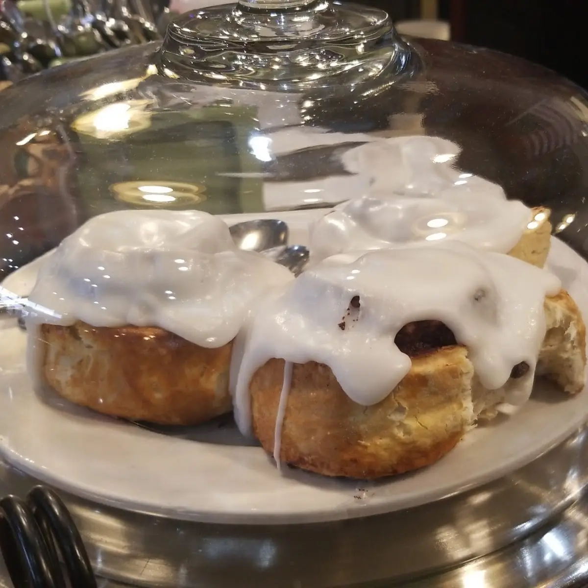 Cinnamon Roll