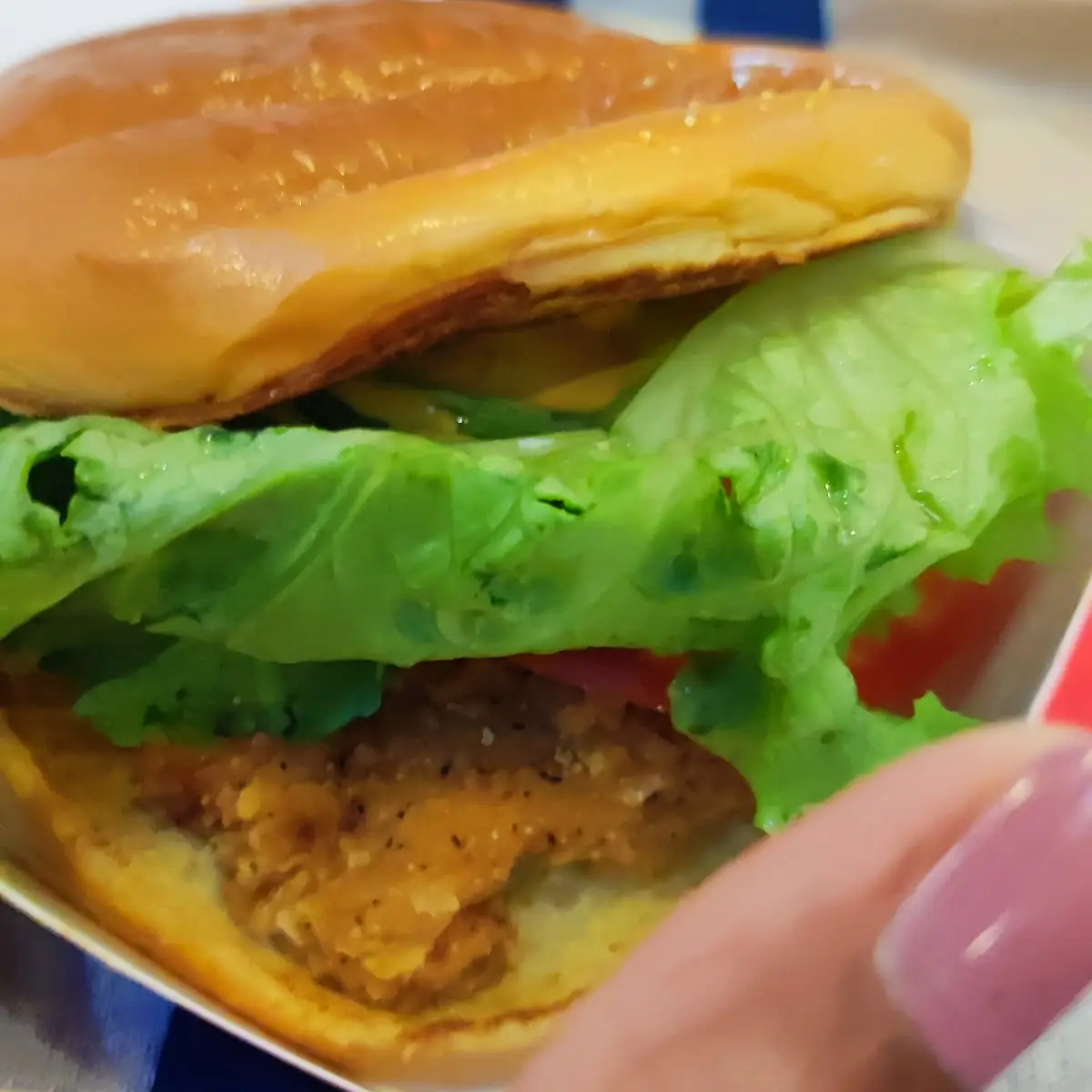 Spicy Chicken Sandwich