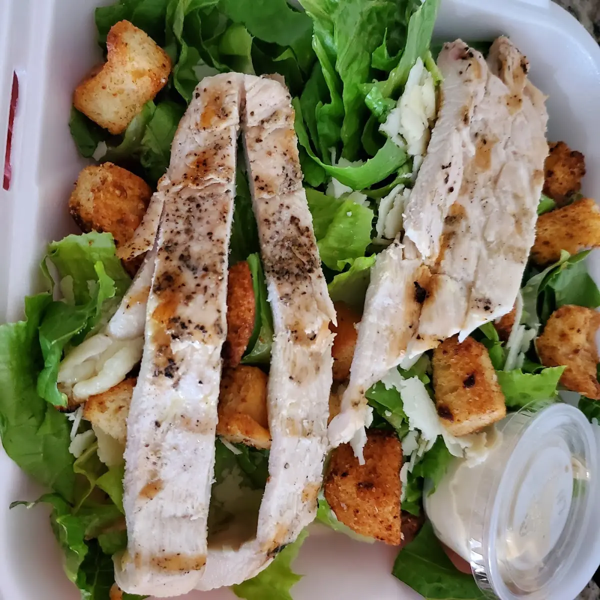 Chicken Caesar Salad