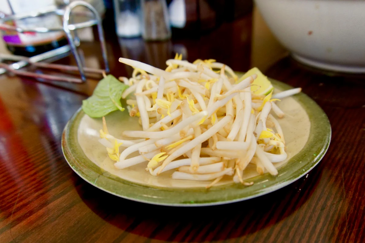 Bean Sprouts & Scallion