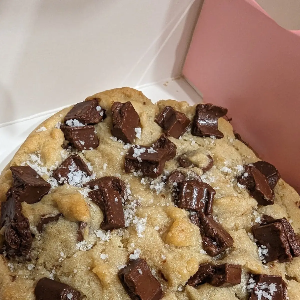 Chocolate Chip Cookie