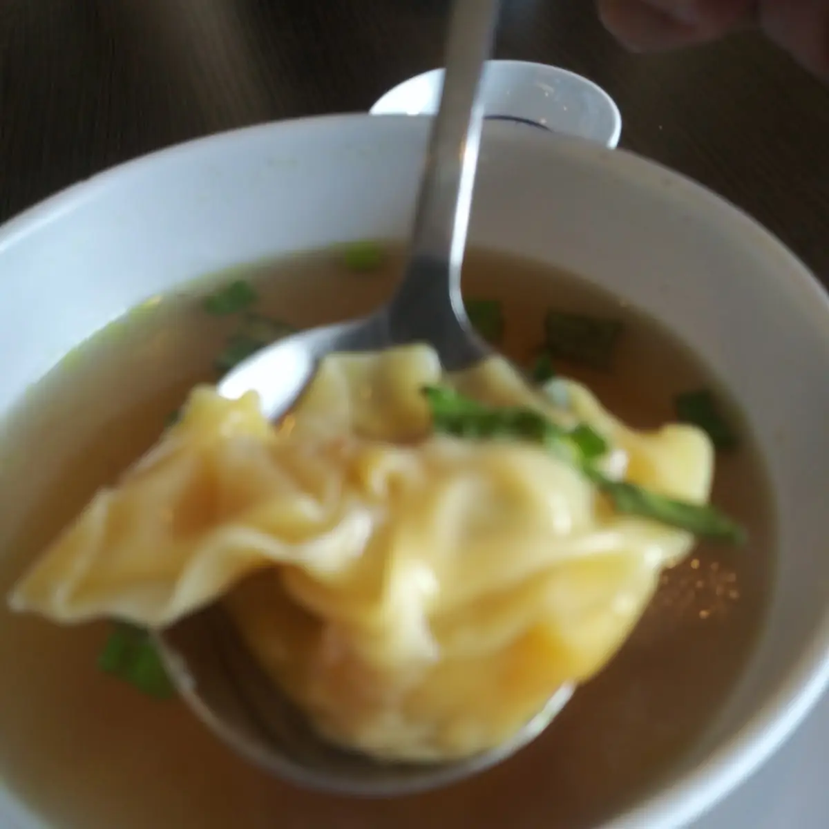 Won Ton Soup
