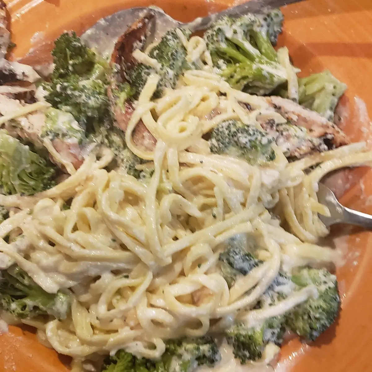 Chicken Broccoli Alfredo