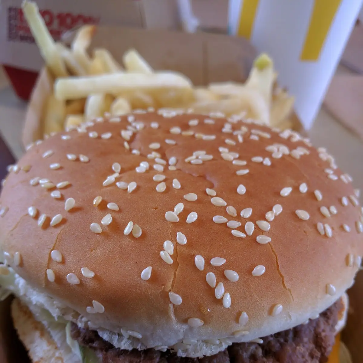 Big Mac and Fries