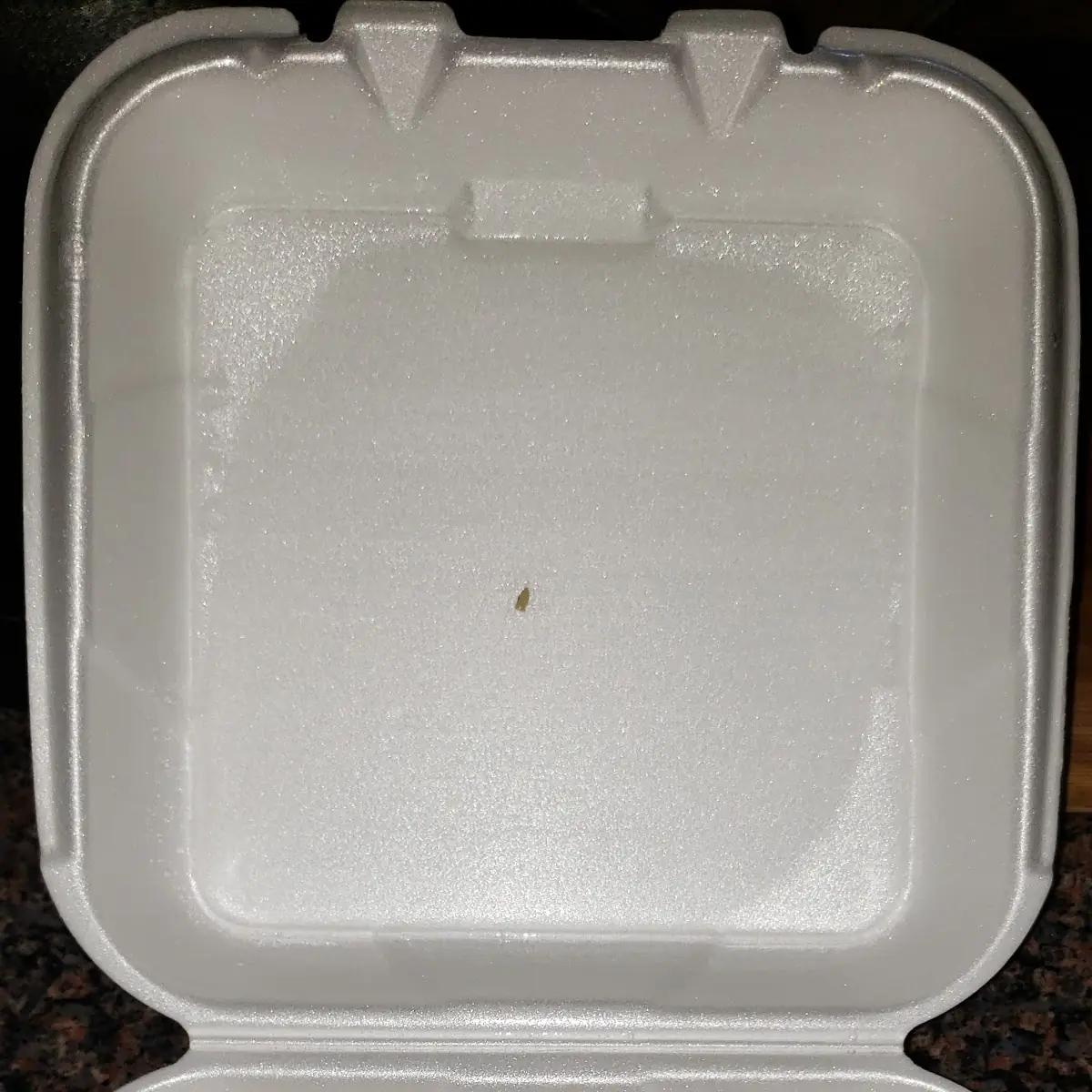 G1. Fried Rice