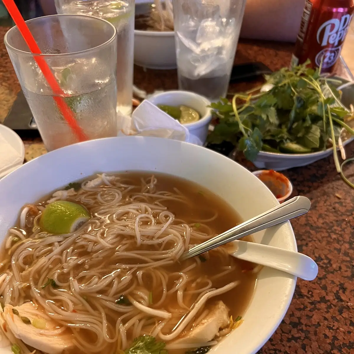 Plain Pho