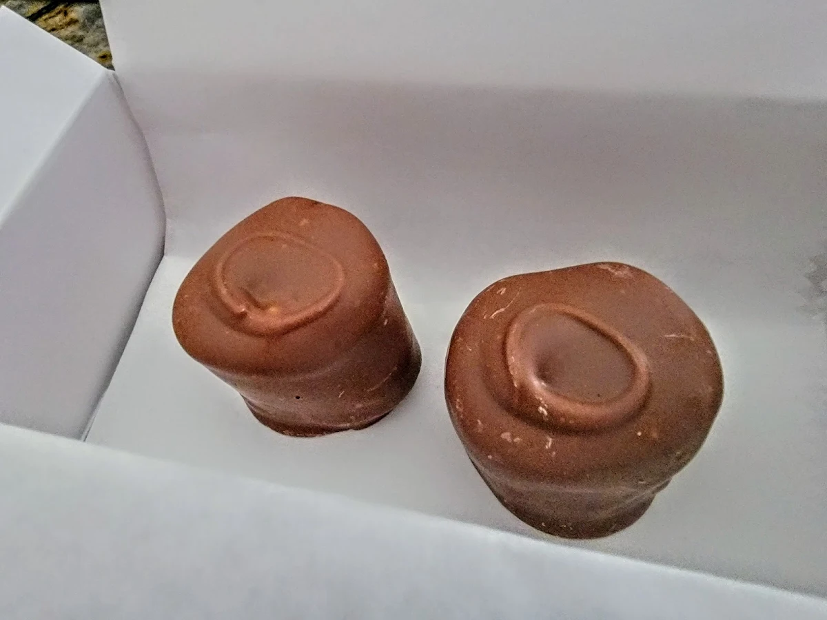 Chocolate Covered Marshmallow