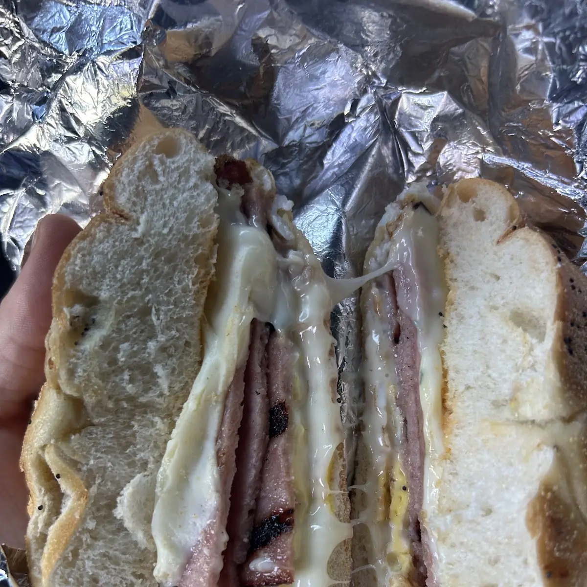 Meat & Cheese on a Hard Roll