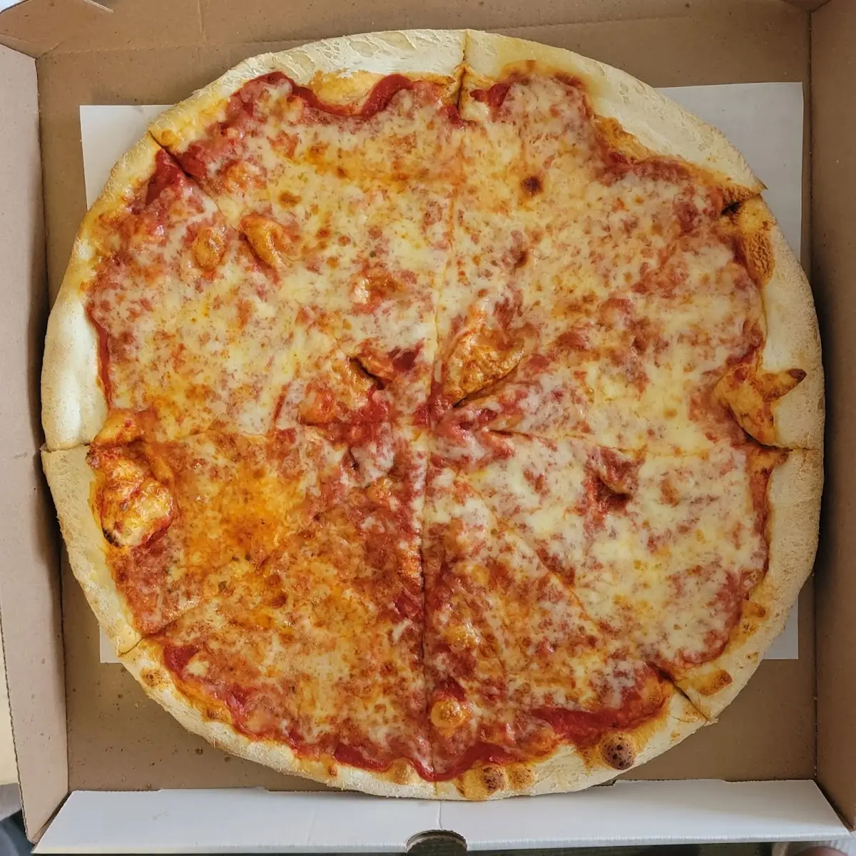 Plain Round Pizza Large