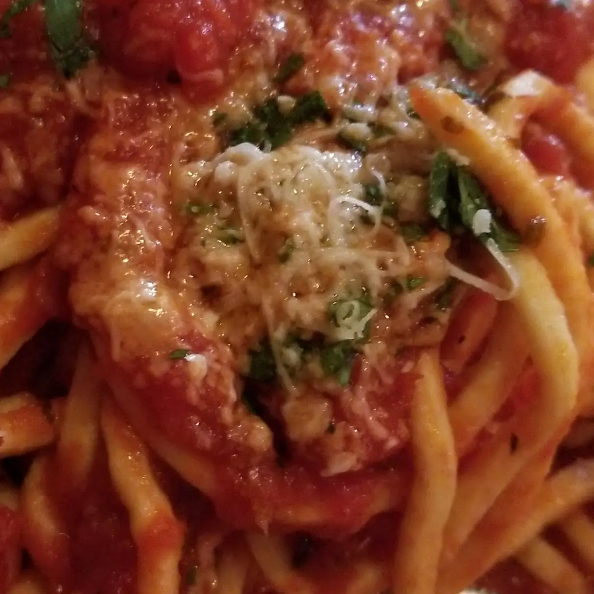 Homemade Spaghetti
