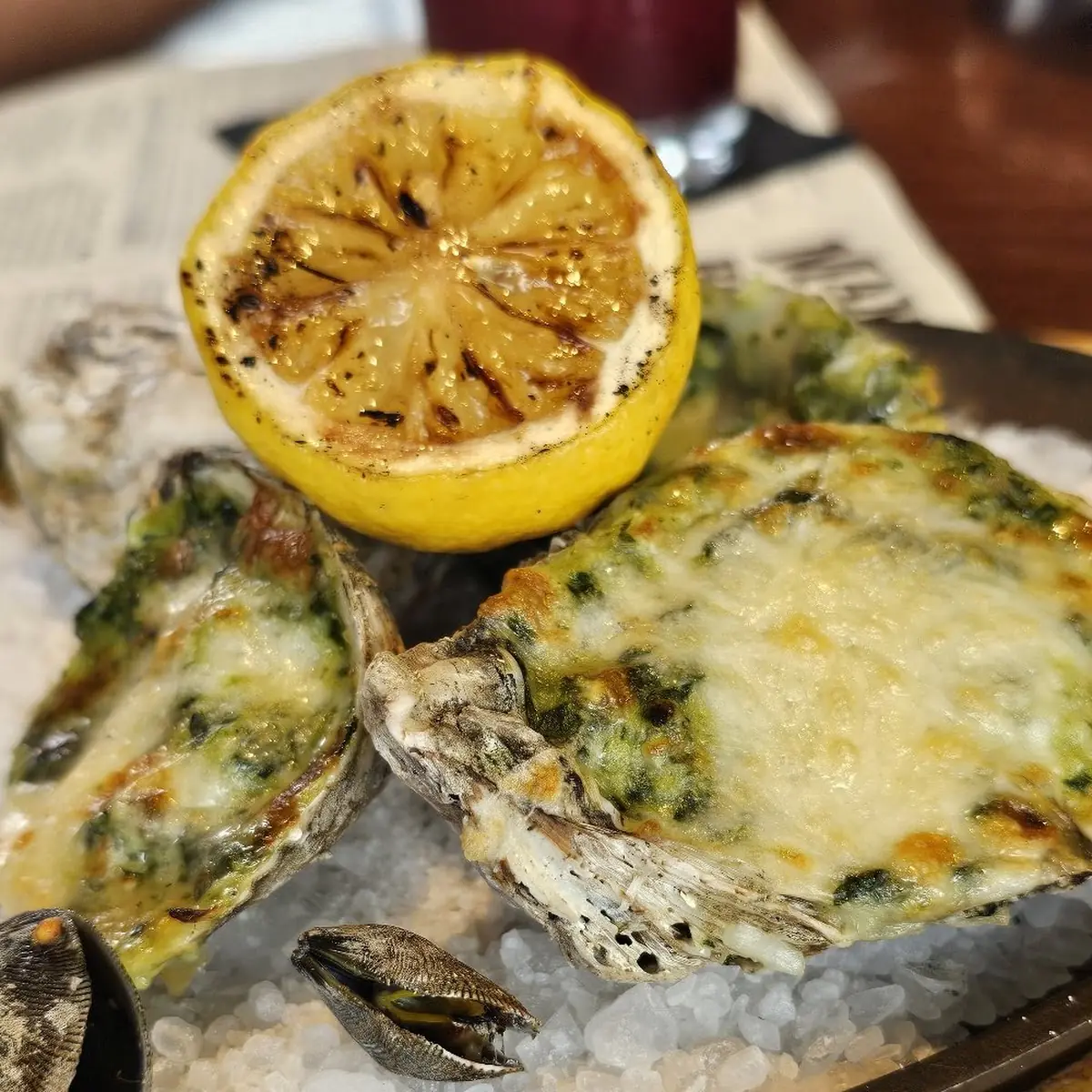 Oysters Raw Oysters