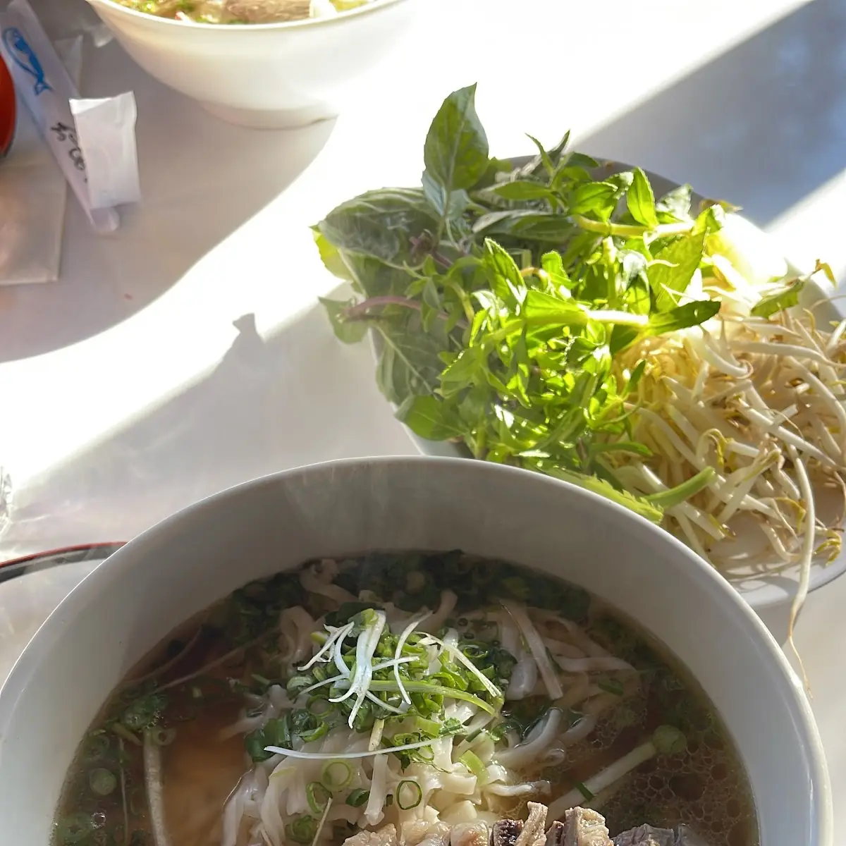 Short Rib Pho