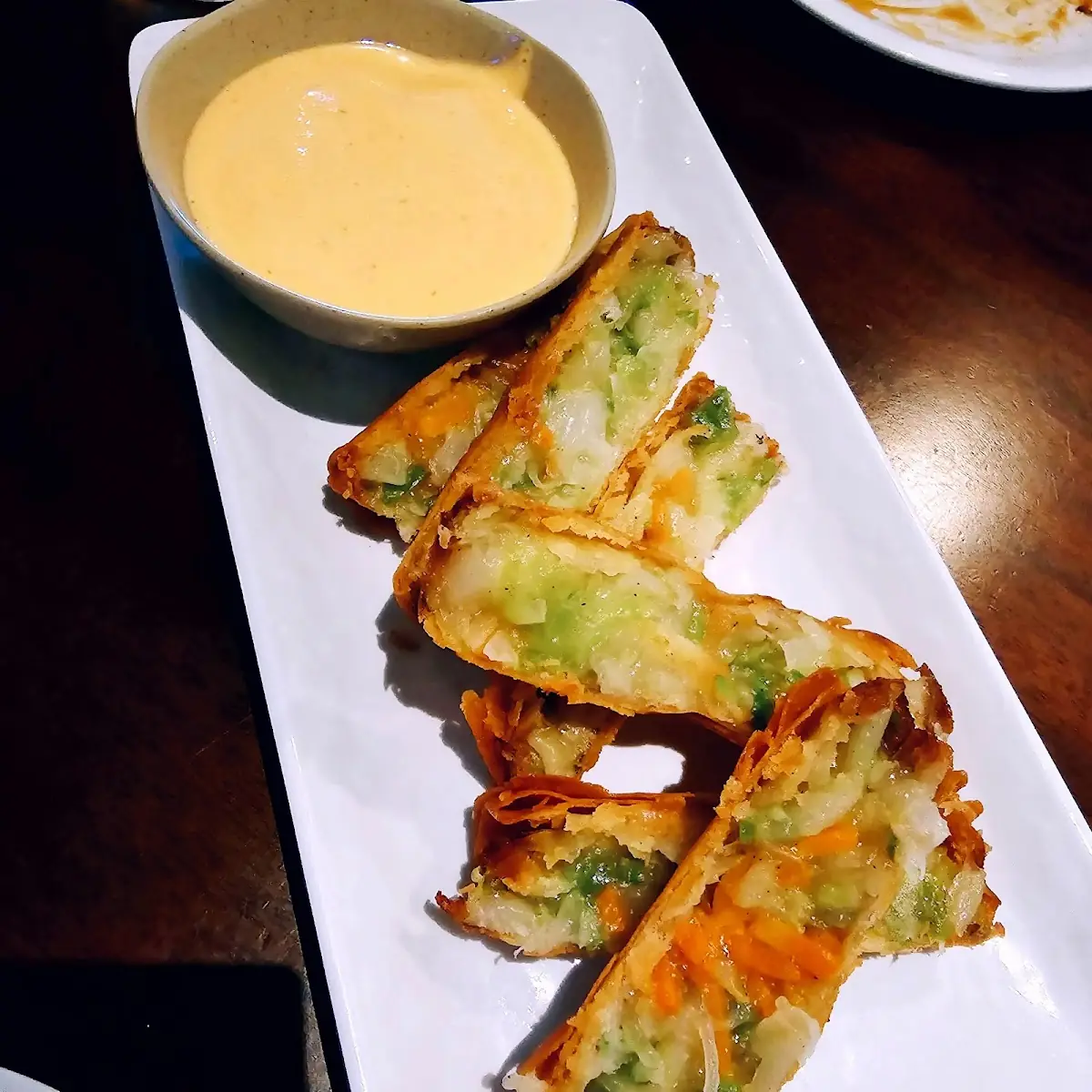 Vegetable Spring Rolls