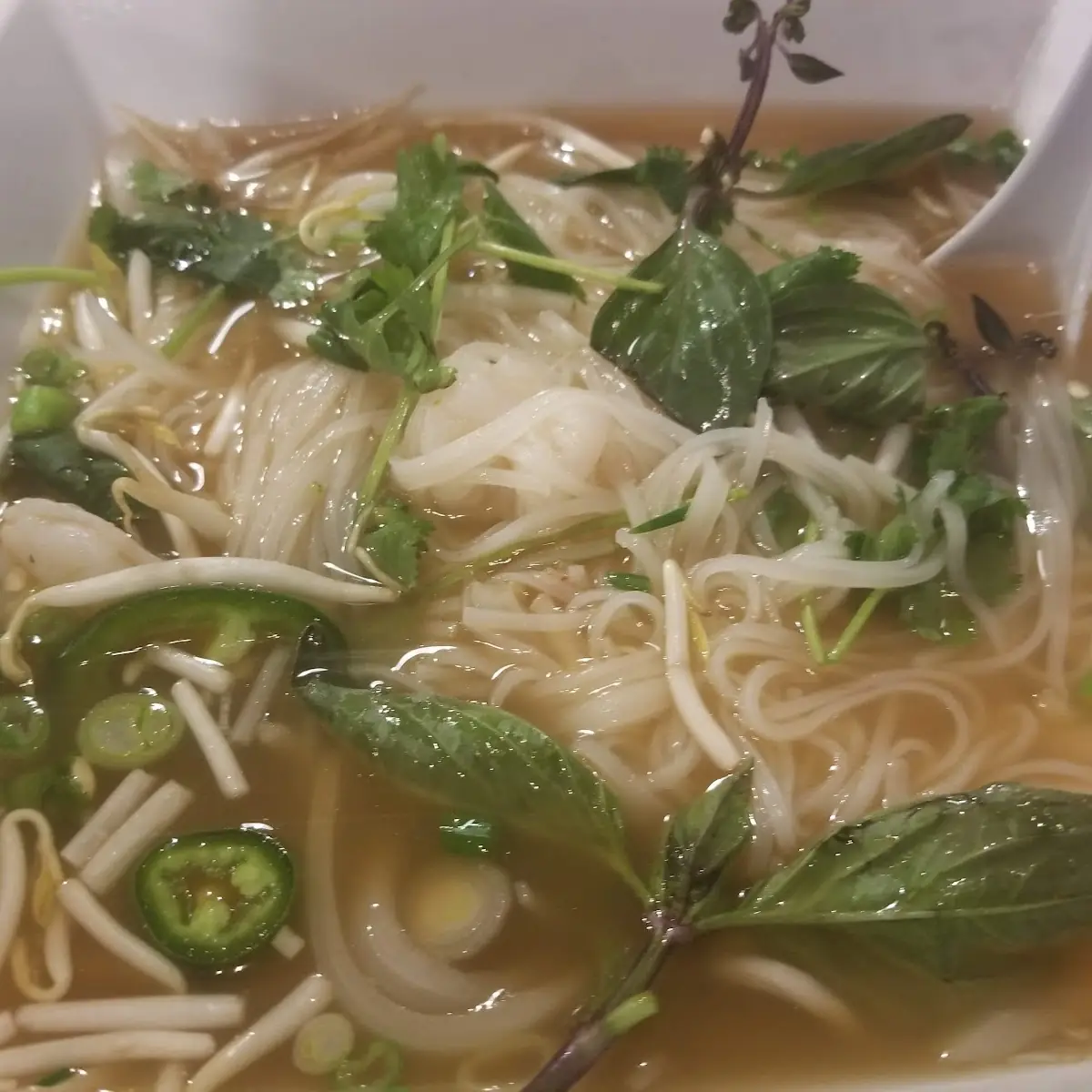 Rice Noodle Soup