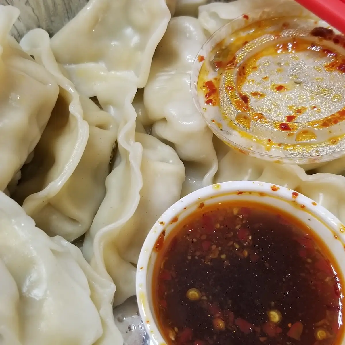Fried or Steamed Dumpling