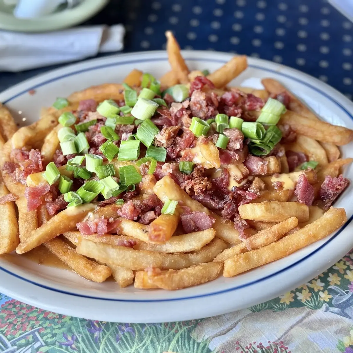Loaded Fries w Bacon & Cheese