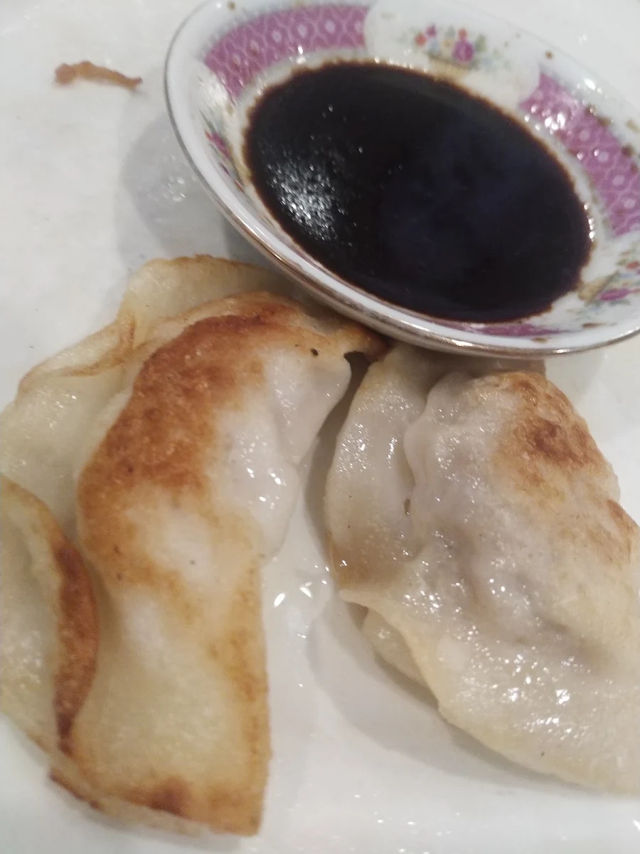 Pan Fried Dumplings